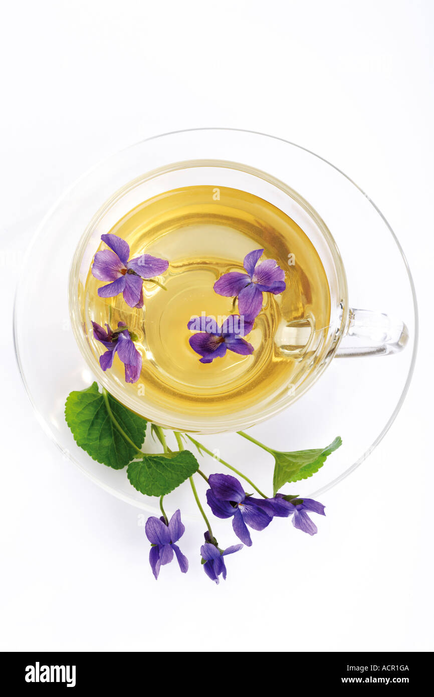 Cup of herbal tea, overhead view Stock Photo