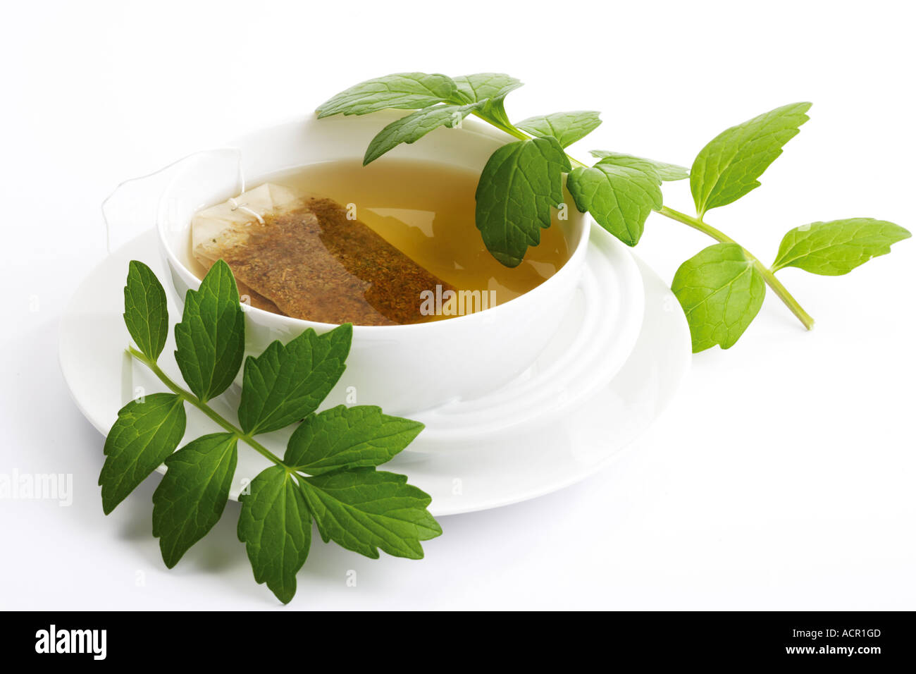 Valerian tea, Valeriana officinalis Stock Photo - Alamy