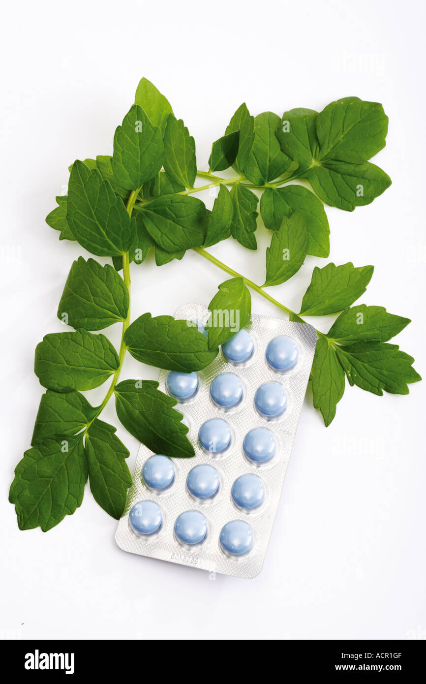 Valerian tablets, elevated view, close-up Stock Photo