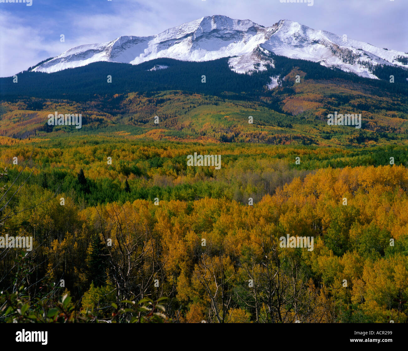 Mount Sopris View from Highway 133 near Carbondale Colorado USA Stock Photo