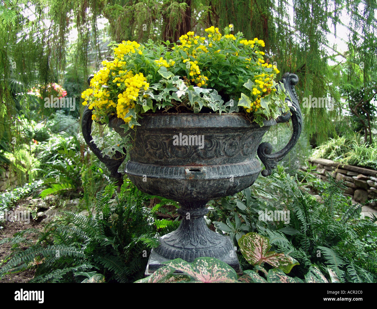 flower display in urn Stock Photo Alamy