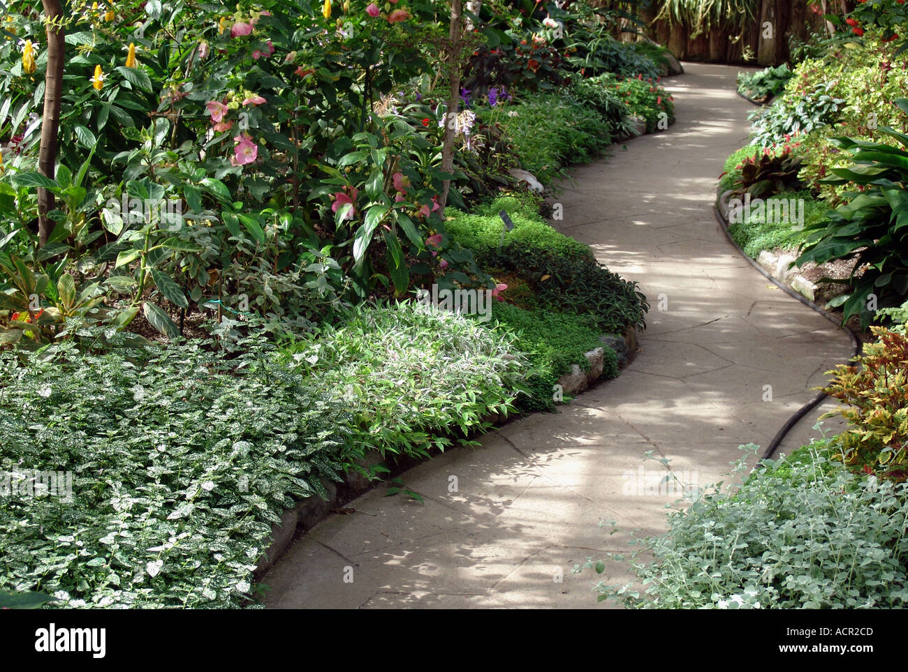 allan gardens greenhouses toronto canada Stock Photo Alamy