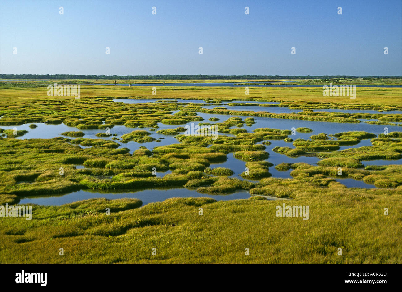 Barnegat Bay Coastal Wetlands Southern New Jersey Stock Photo
