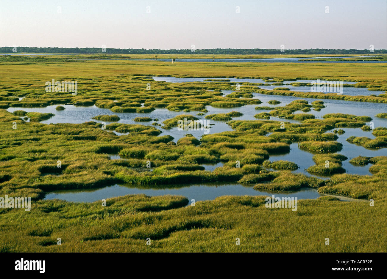 Barnegat Bay Coastal Wetlands Southern New Jersey Stock Photo
