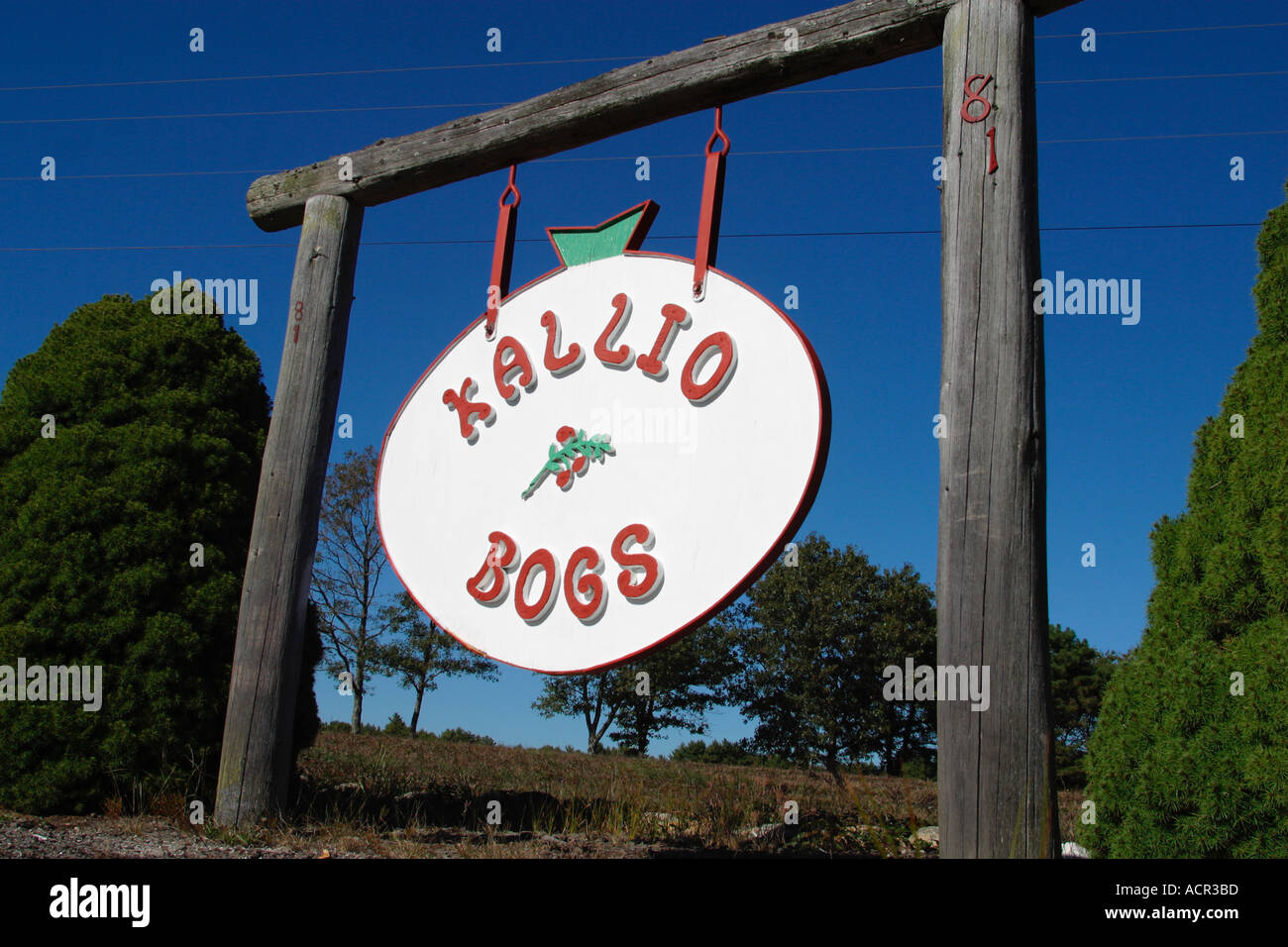 Cranberry Farm Carver Massachusetts Stock Photo Alamy