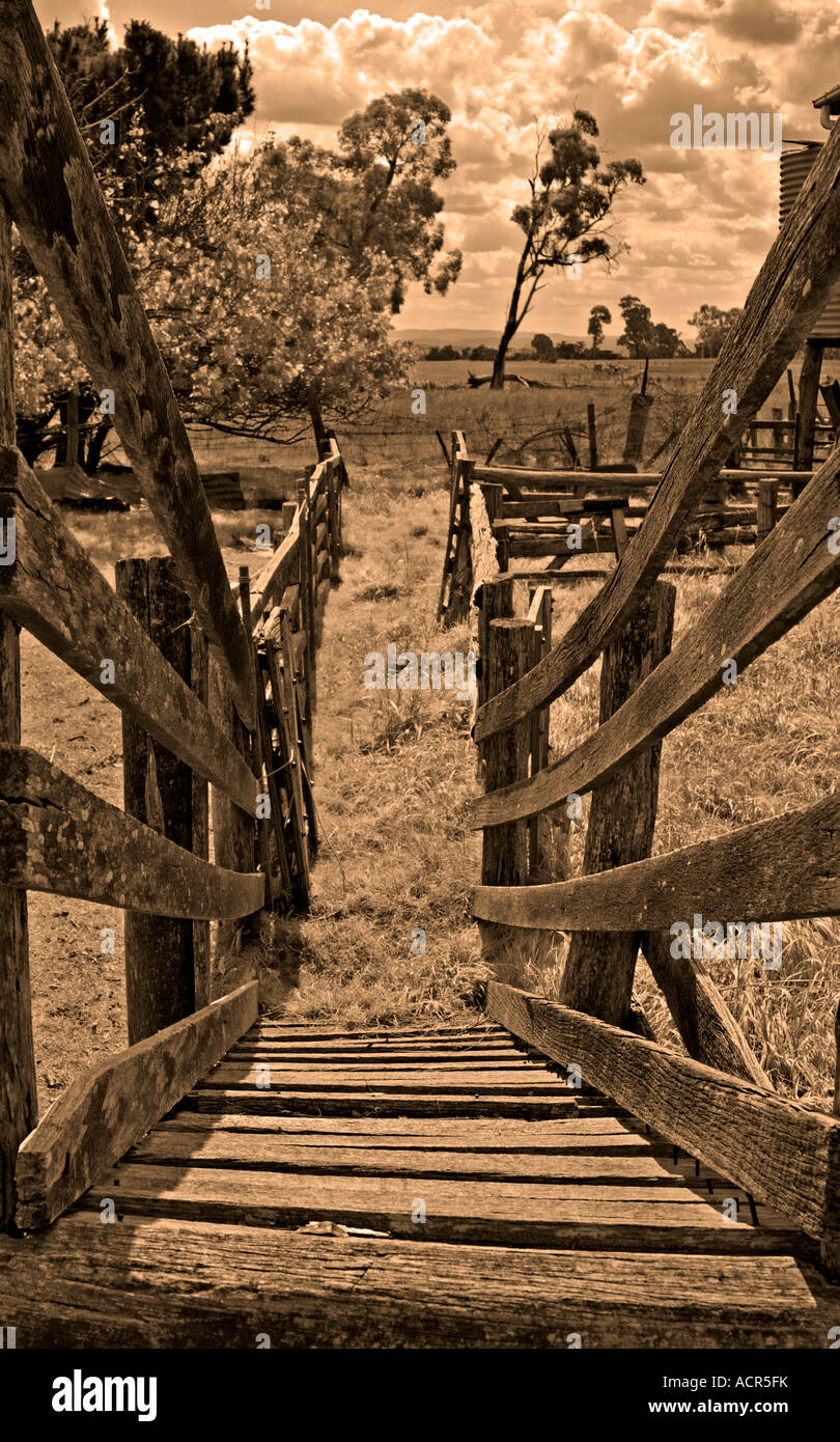 looking down the old sheep loading race or run to the paddocks beyond in sepia Stock Photo