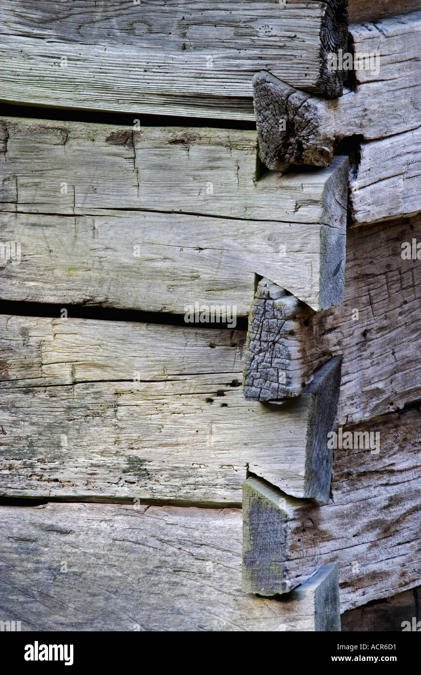 The dove tailed corner joint of an old log cabin in the Great Smoky