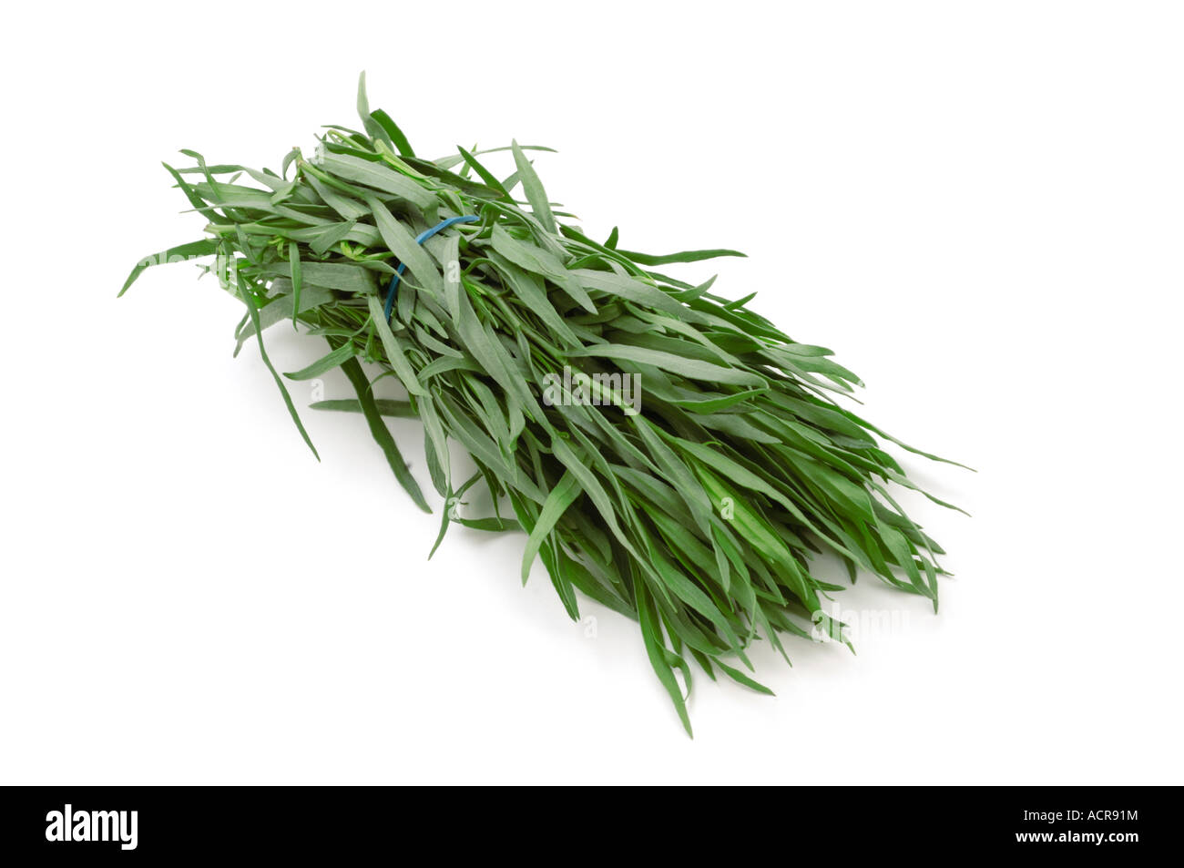 Bunch of fresh Tarragon Stock Photo Alamy