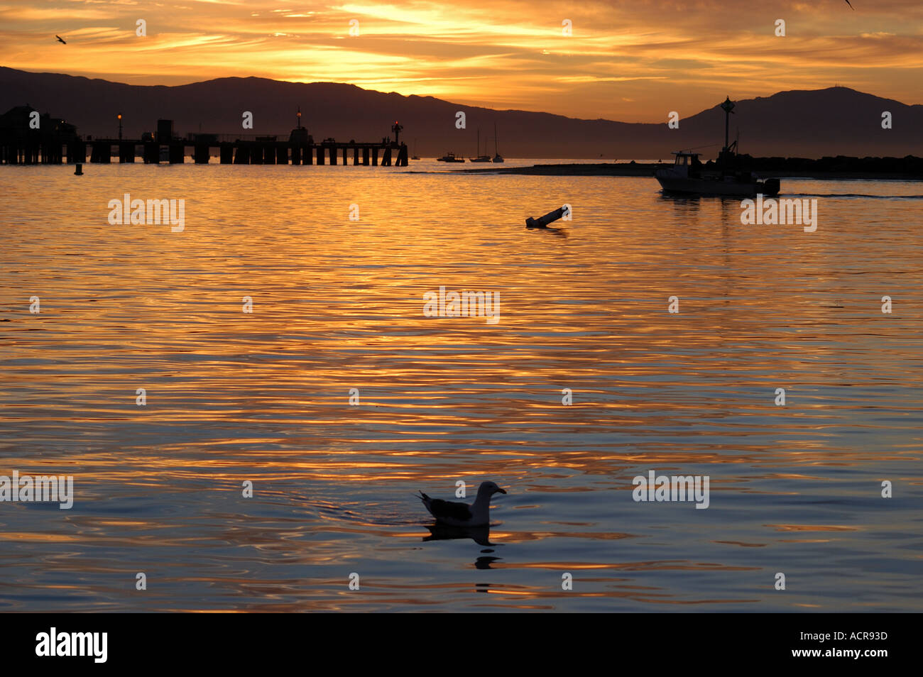 Stearns wharf at sunrise hi-res stock photography and images - Alamy