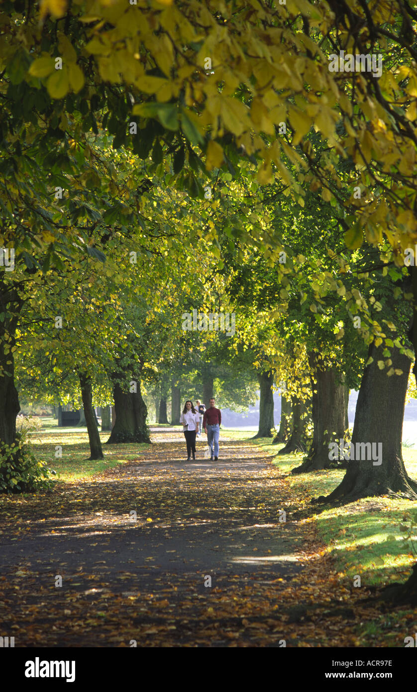 Dumfries autumn in Dock Park couple walking under the trees along side ...