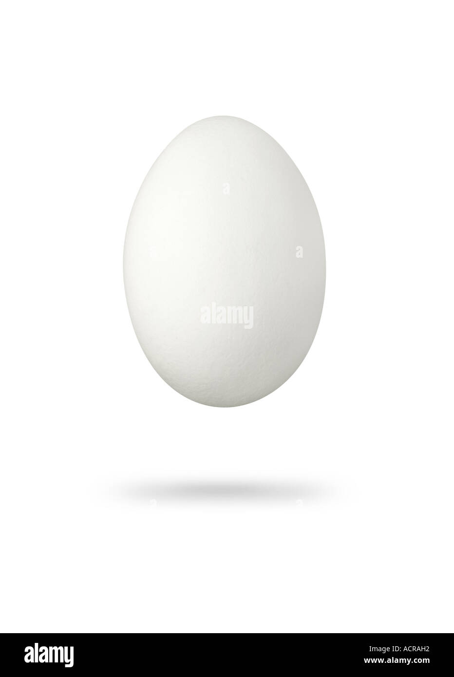 white egg weisses Ei Stock Photo