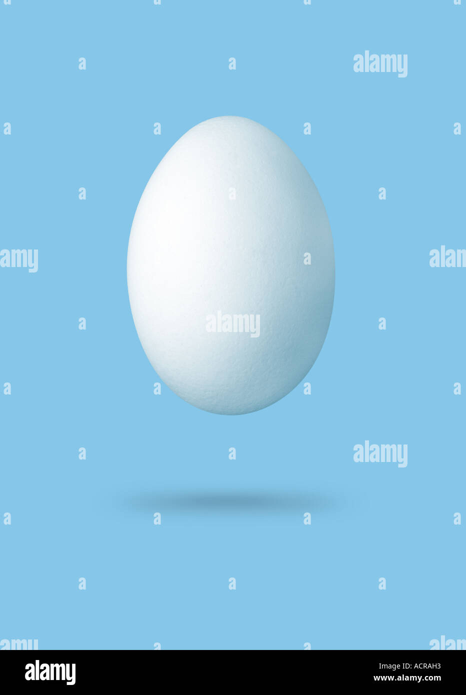 weisses Ei Stock Photo