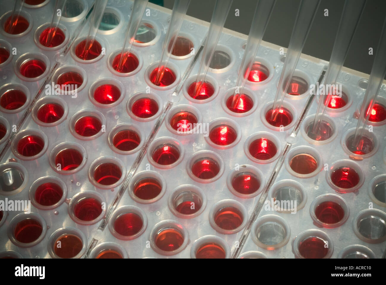 pipette pipetting blood test research medical vacination drug chemistry