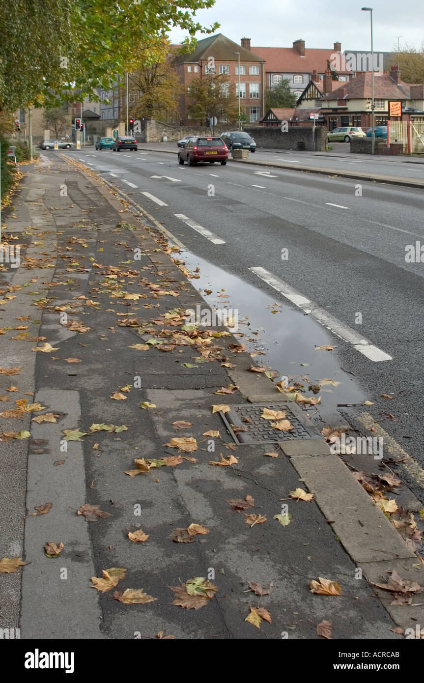 autumn leaves on the pavement Stock Photo - Alamy