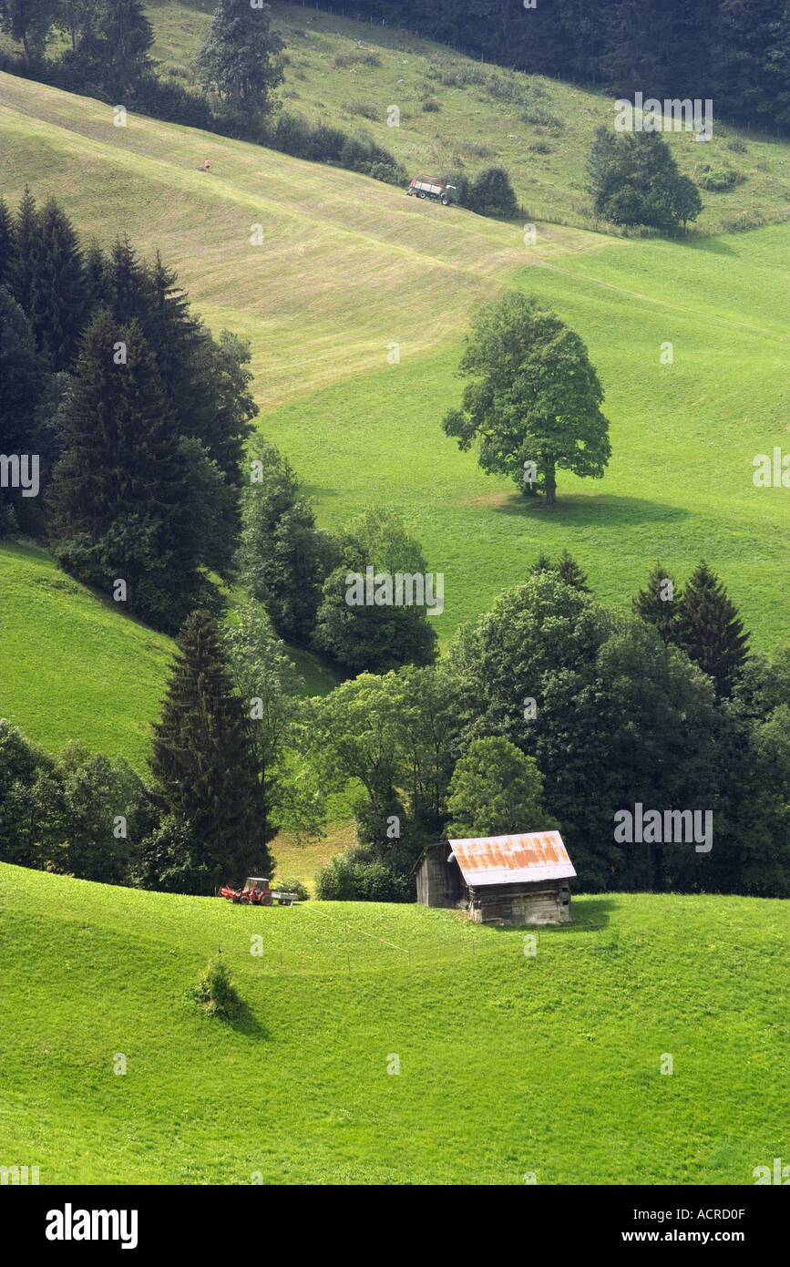 A tractor and a traditional alpine barn on a hill Switzerland Stock ...
