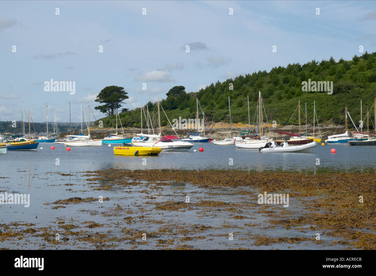 Yachts moored in a creek off the River Fal near Roseland in Cornwall Stock Photo