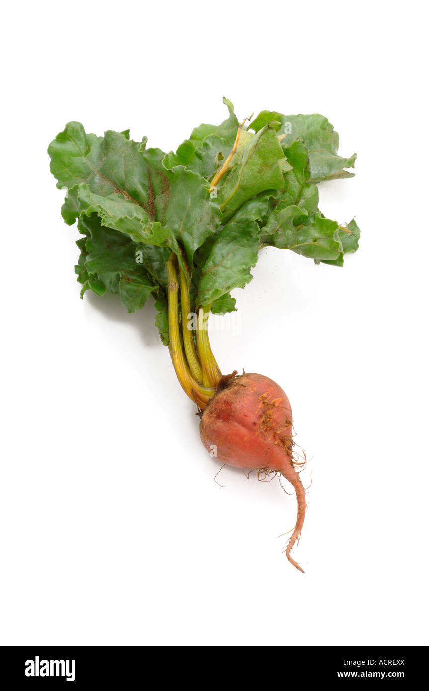 Freshly cut beetroot hi-res stock photography and images - Alamy