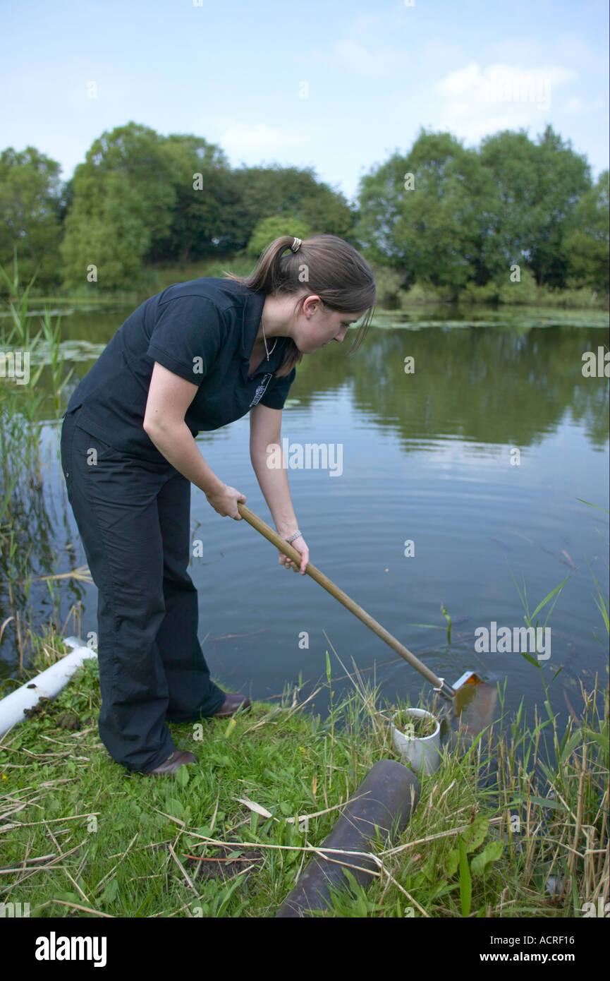 research scientist examining pond Stock Photo