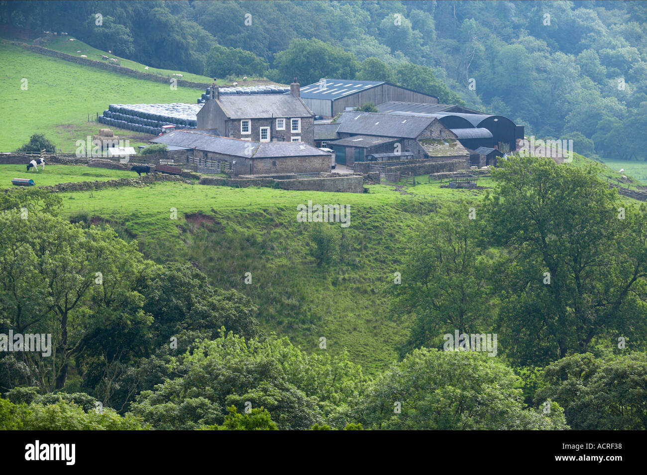 Farm in Cumbria Stock Photo
