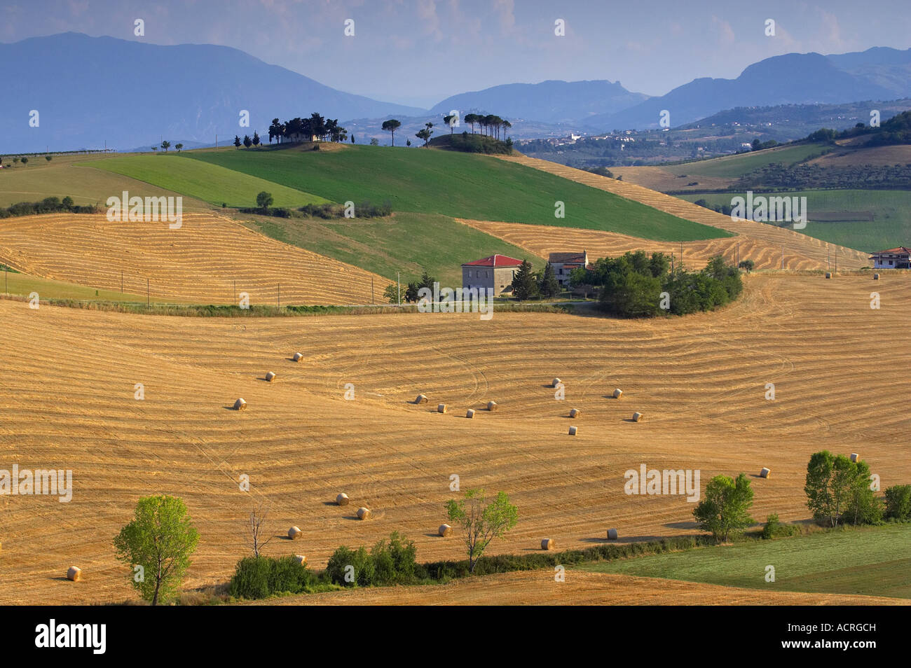Farmland in Abruzzo, Italy Stock Photo Alamy