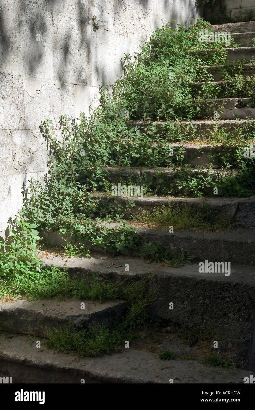Flight of over-grown steps down to grave yard, Istanbul, Turkey Stock Photo