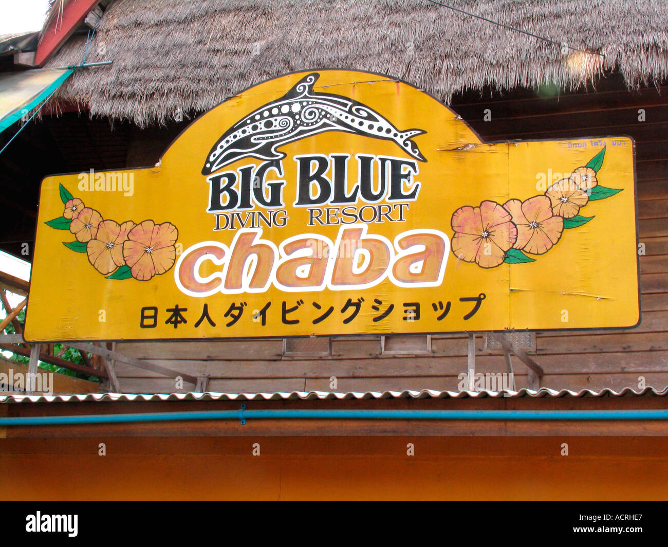 Diving resort sign Ko Tao Thailand Stock Photo Alamy