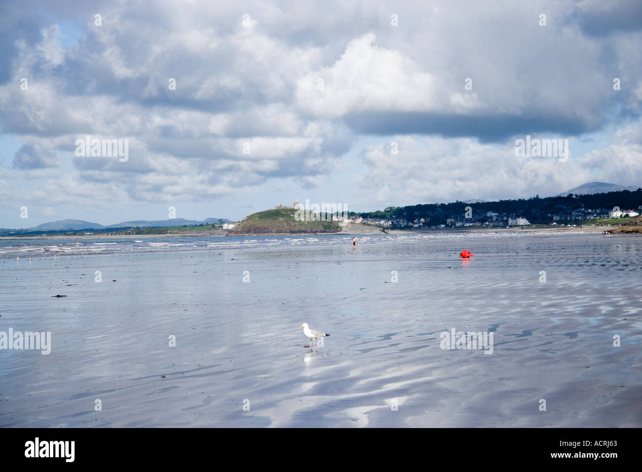 Criccieth Castle from Black Rock sands North Wales Stock Photo - Alamy