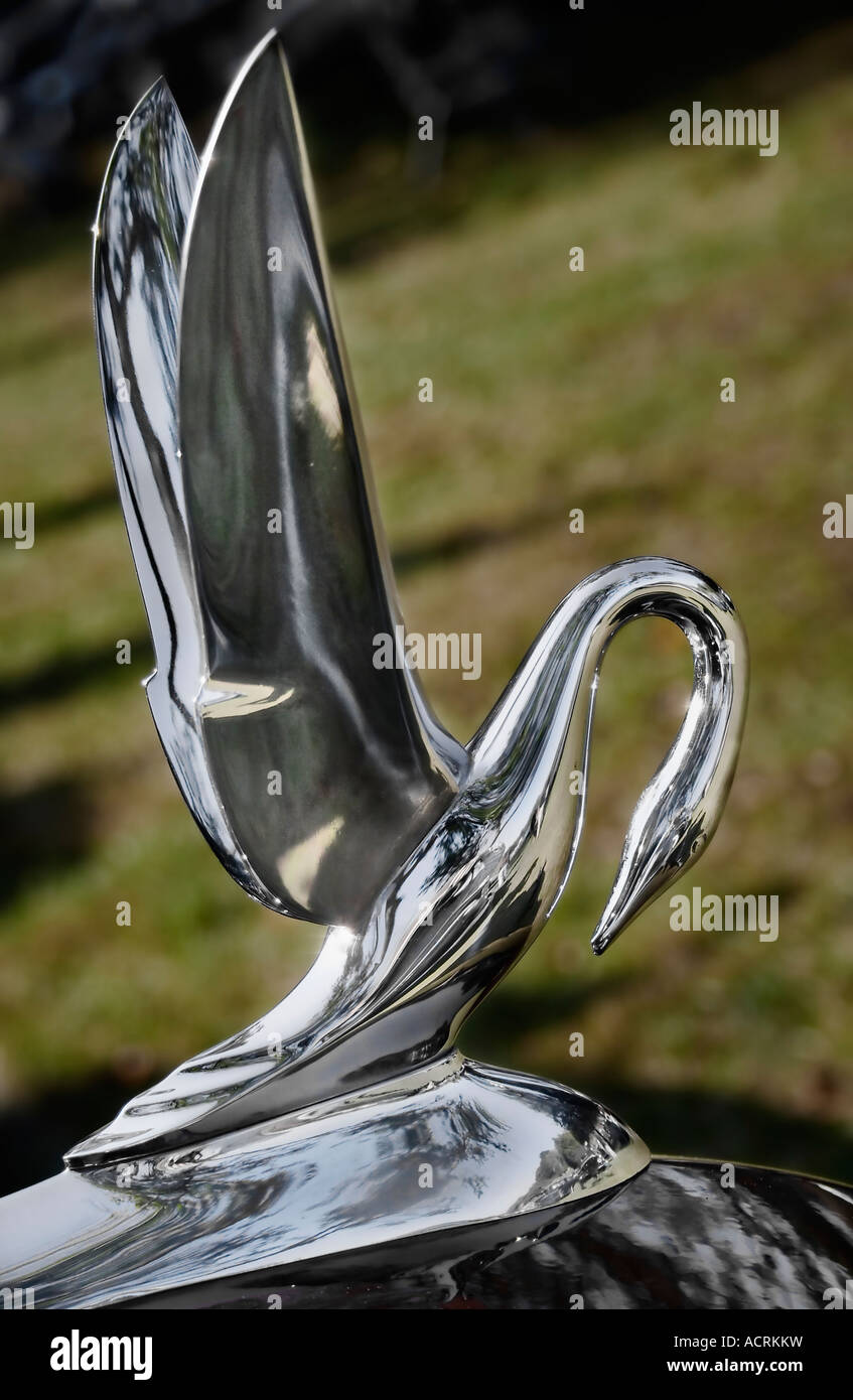 The cormorant hood ornament of a vintage 1949 Packard Stock Photo