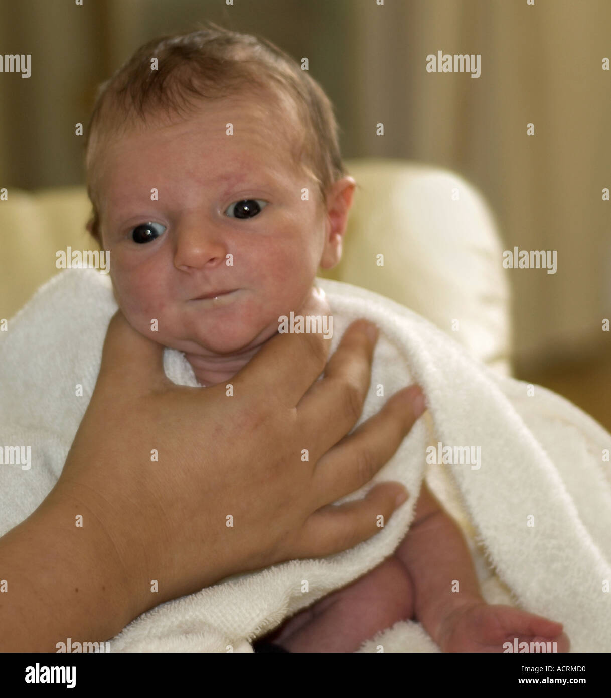 Mother supporting new born baby head Stock Photo Alamy