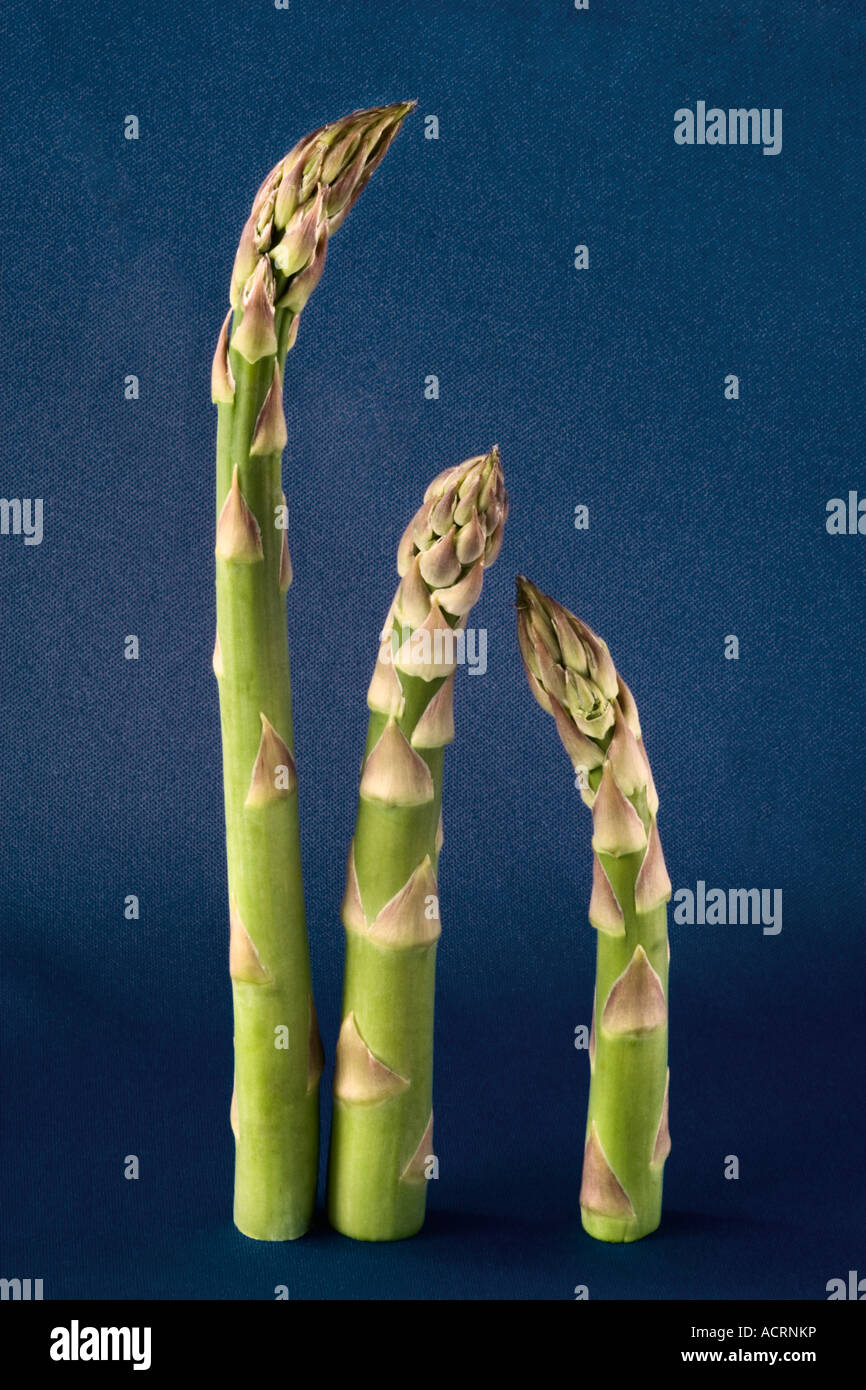 Three Asparagus upright Food still life Stock Photo Alamy