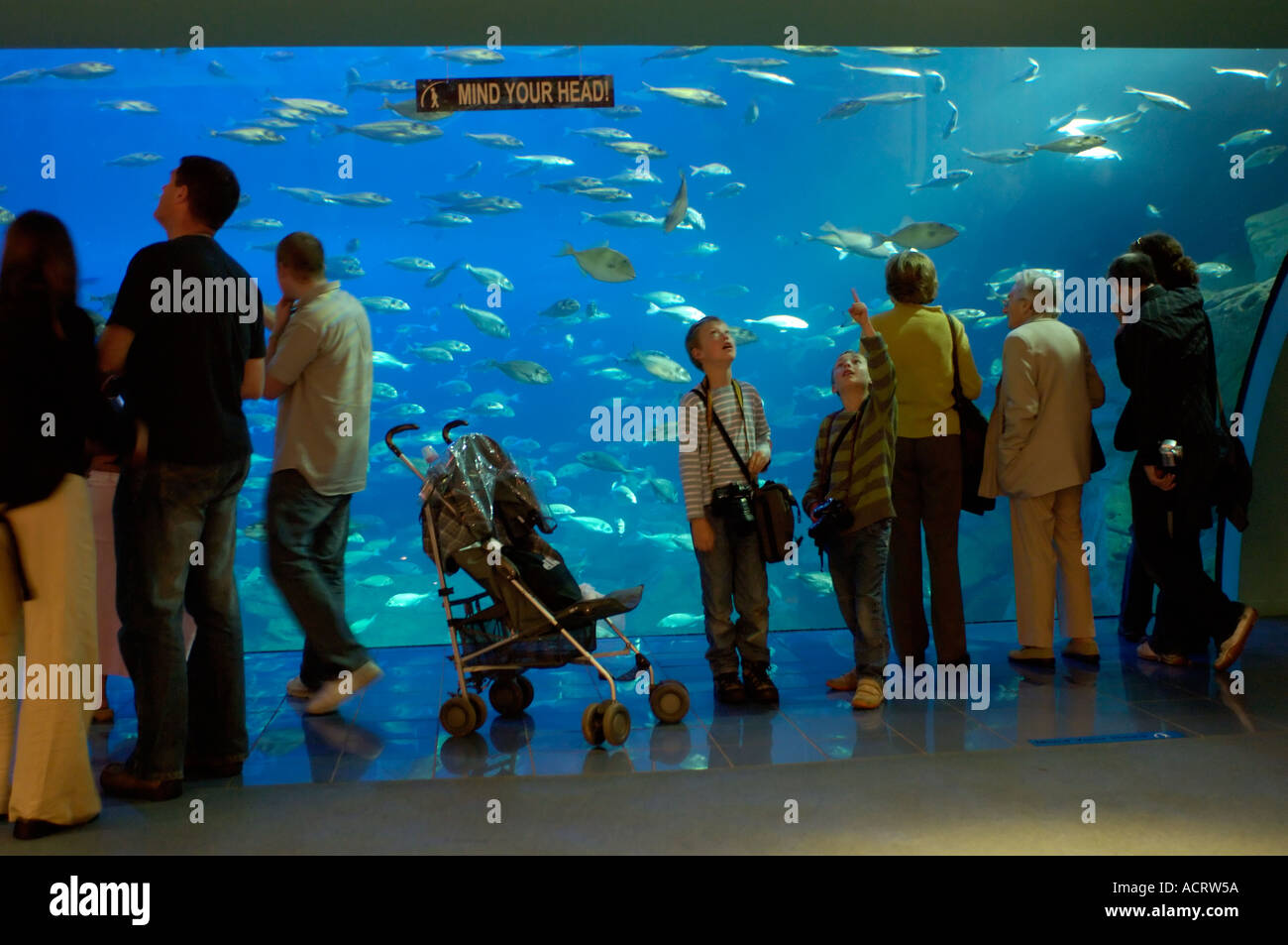 Aquarium Plymouth England Stock Photo Alamy