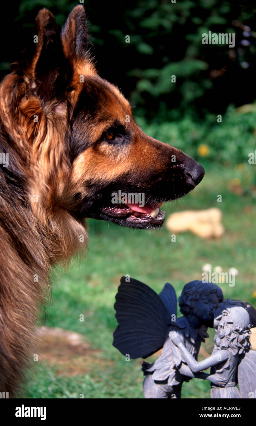 Garden Ornament Dog Statue High Resolution Stock Photography And Images Alamy