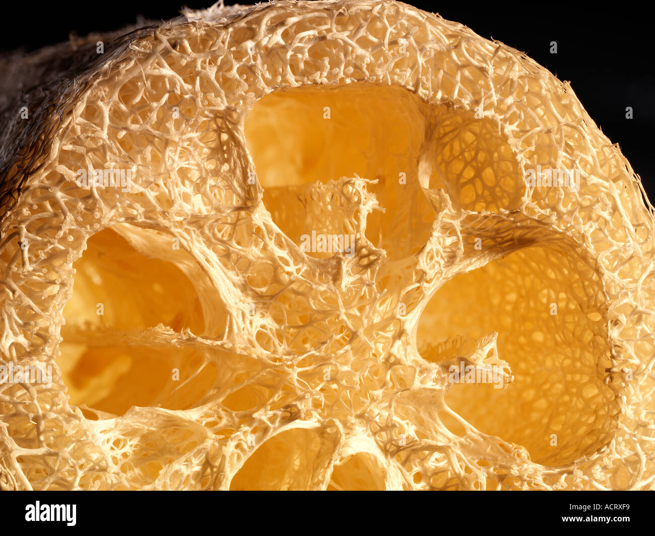 Lufer Tree Lufer hi-res stock photography and images - Alamy