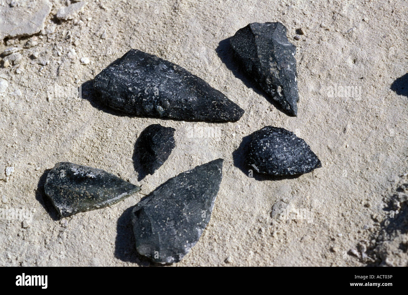 Six flint shaped stones found on the shores of the Makgadikgadi Pans Makgadikgadi Pans Botswana Stock Photo