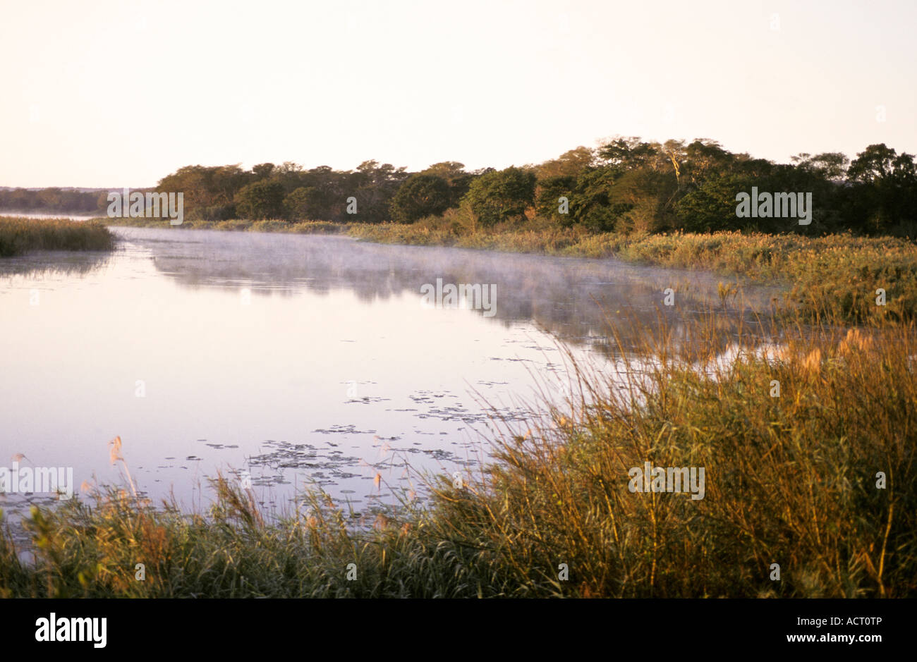 View of Bhanzi Pan Ndumu Game Reserve northern Natal South Africa Stock Photo