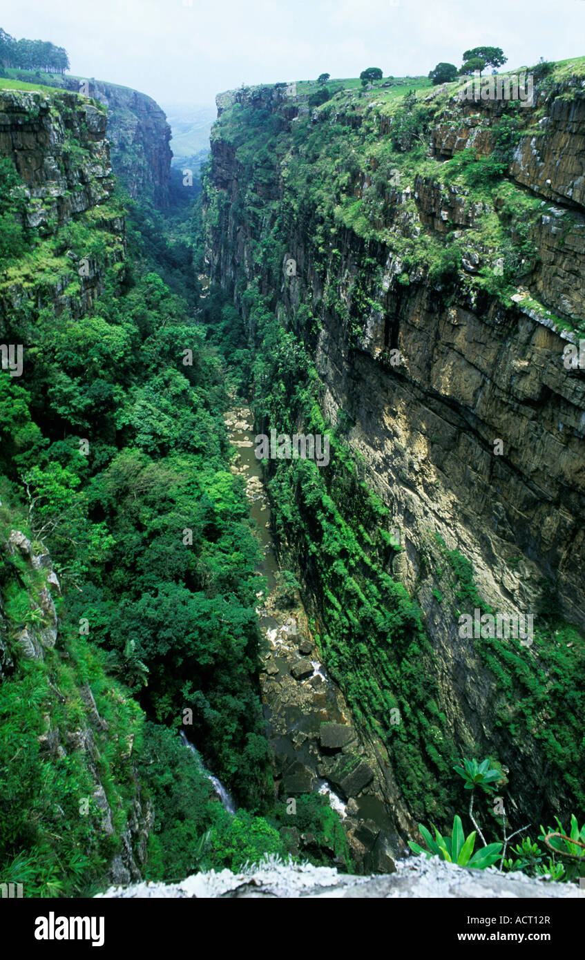 Scenic view of below Mgawa Falls near Lusikisiki Mgawa Falls near