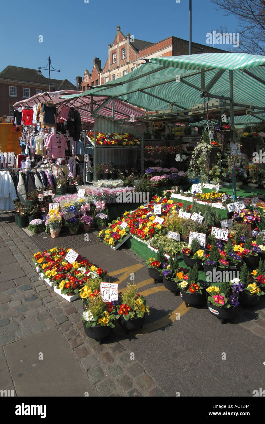 London street scene market stall selling colourful flowering spring