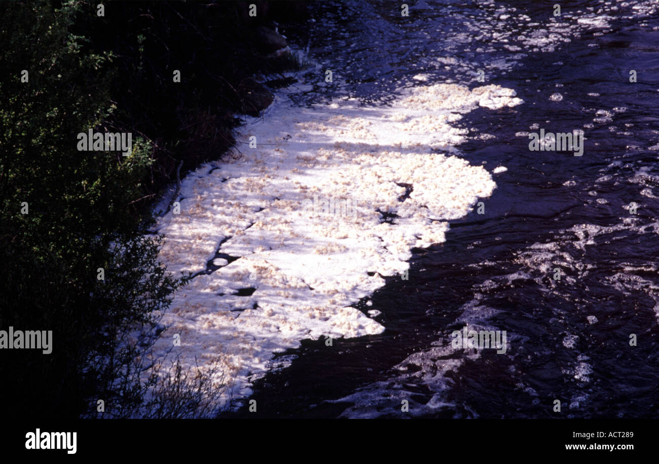 River pollution Narpio Finland Stock Photo