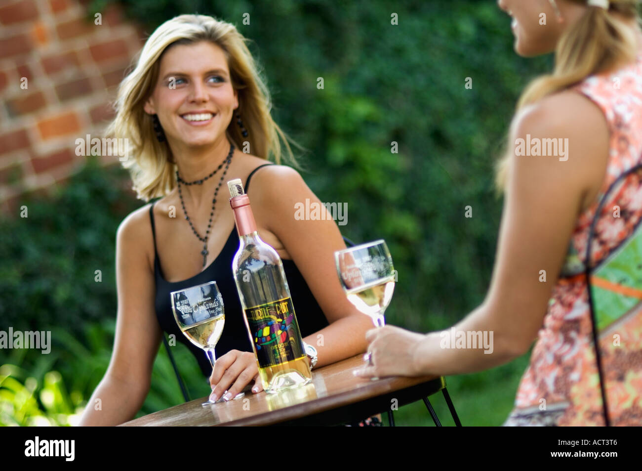 Two Young Women Enjoying a Bottle of Wine and Conversation at an