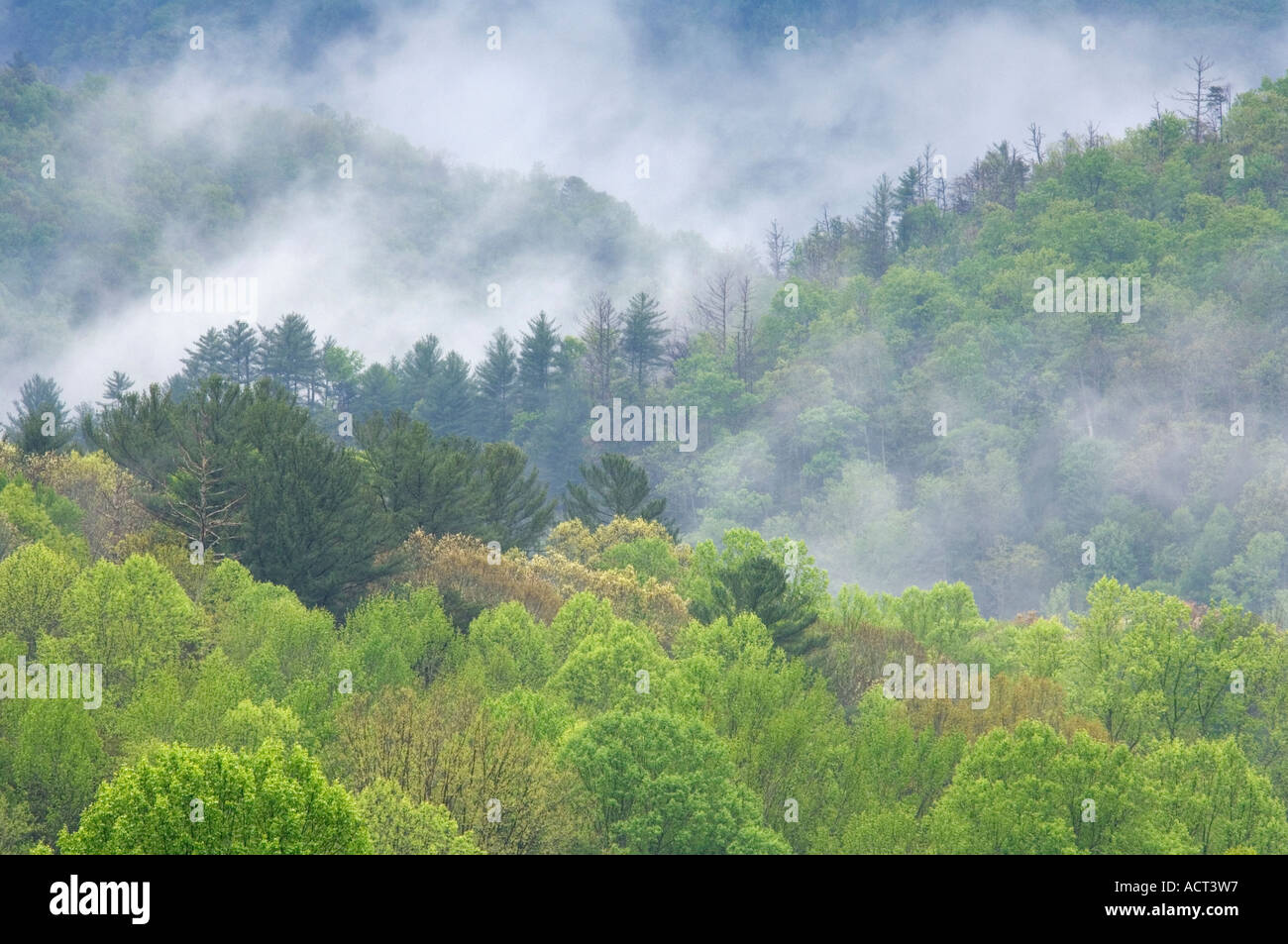 Mist Rising from Forested Mountain Ridges Cades Cove Great Smoky ...
