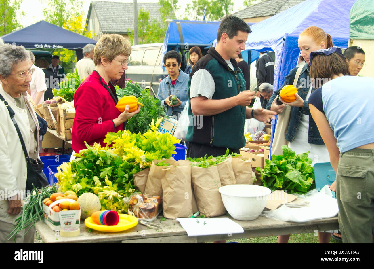 Buying produce and flowers at the Fort Garry Farmer s Market in