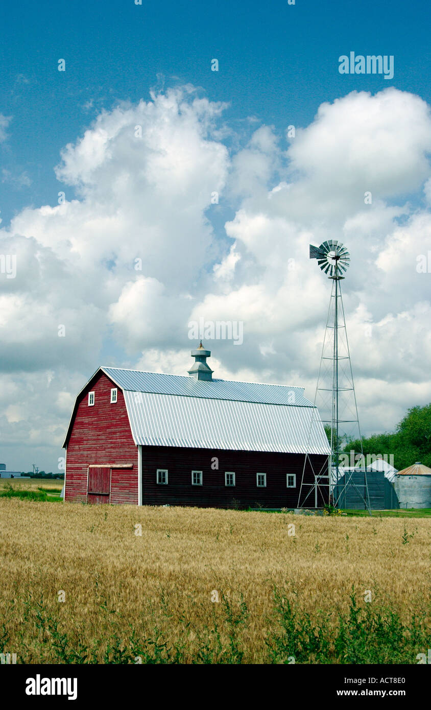 Red barn and windmill with ripe wheat field in rural southern Manitoba Canada Stock Photo