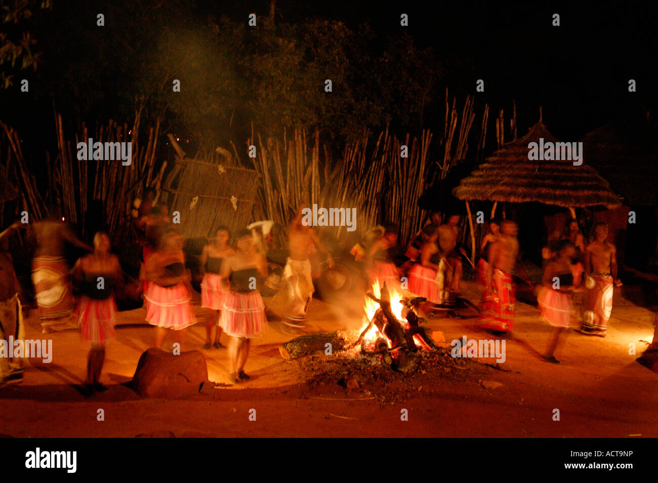 An evening dance show presented at the fireside in an outdoor boma at the Shangana cultural village Hazyview South Africa Stock Photo