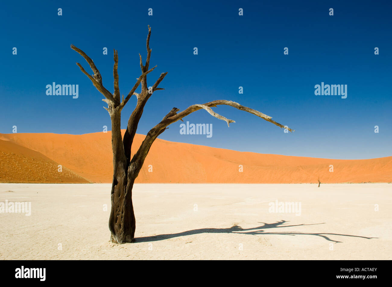 Deadvlei hi-res stock photography and images - Alamy