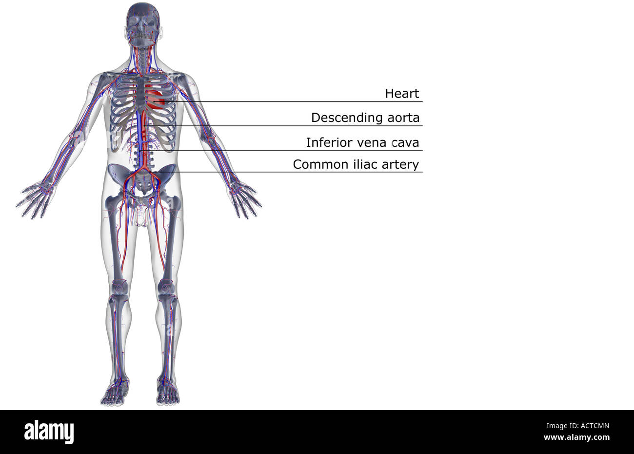 Understanding visual data 3