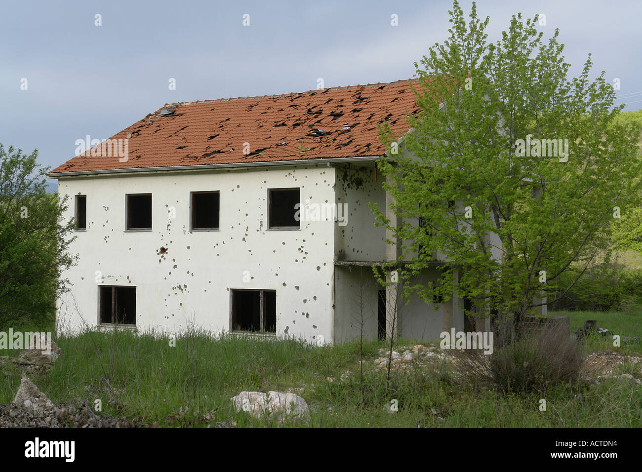 Bullet Holes In House