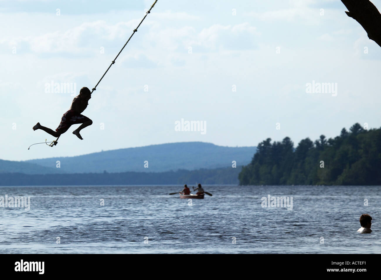 Boy On Rope Swing Over Lake Stock Photo 2461424 Alamy
