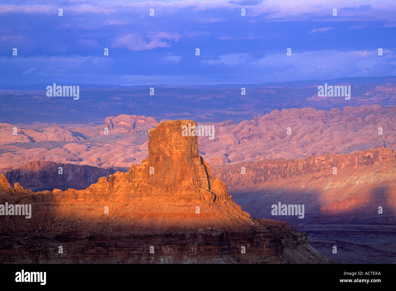 Dead horse state park petroglyphs hires stock photography and images