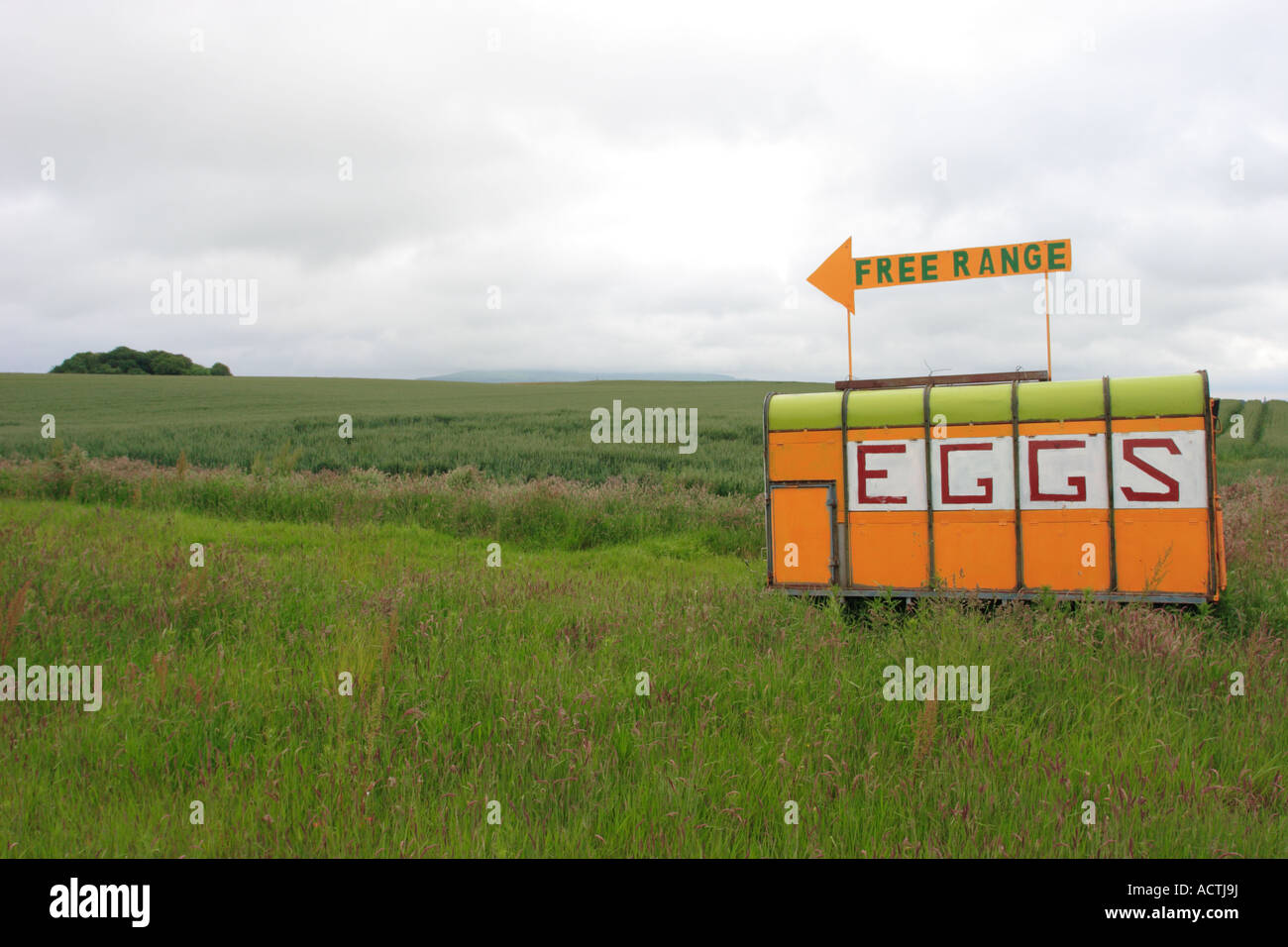 Free Range Eggs For Sale Sign Stock Photo