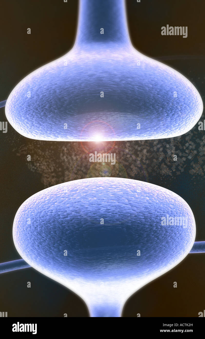 Pre Synaptic Neuron Object Pre synaptic neuron hi-res stock photography and images - Alamy